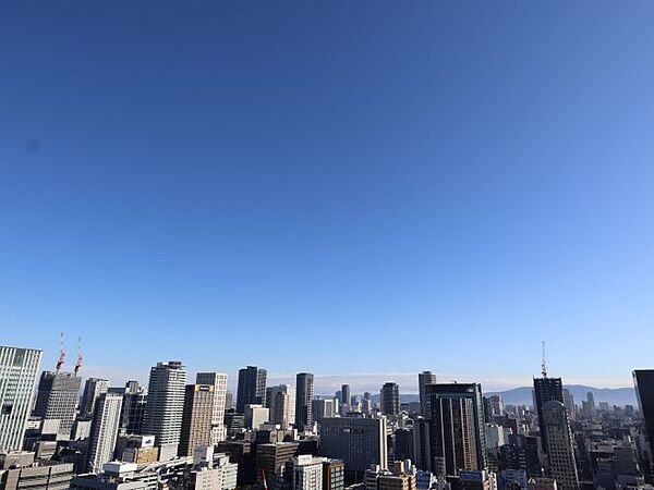 東側バルコニーからの眺望（眺望は永続的に保証されるものではありません。）