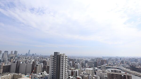 南側バルコニーからの眺望（眺望は永続的に保証されるものではありません。）