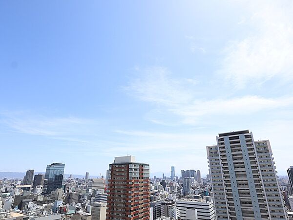 南側バルコニーからの眺望（眺望は永続的に保証されるものではありません。）