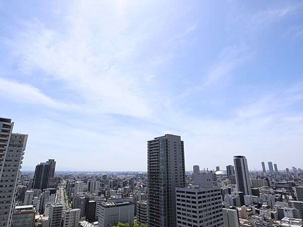 南側バルコニーからの眺望（眺望は永続的に保証されるものではありません。）