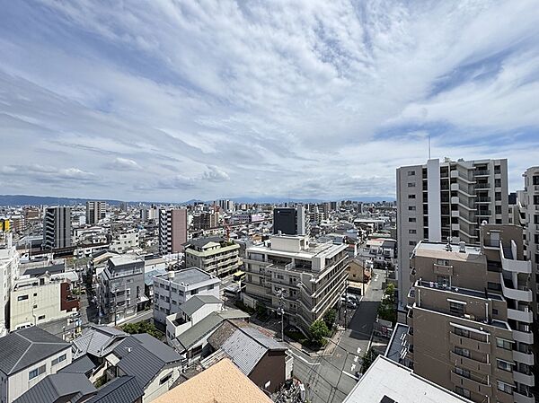 南側バルコニーからの眺望です（眺望は永続的に保証されるものではありません）