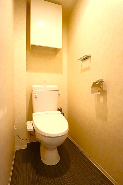 吊戸棚があるトイレです。