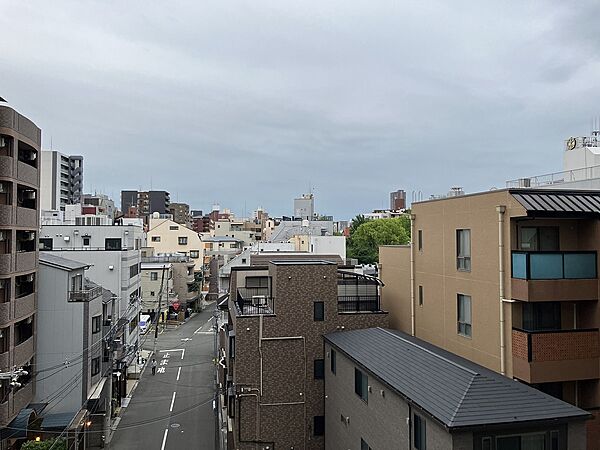 南側バルコニーからの眺望です（眺望は永続的に保証されるものではありません）