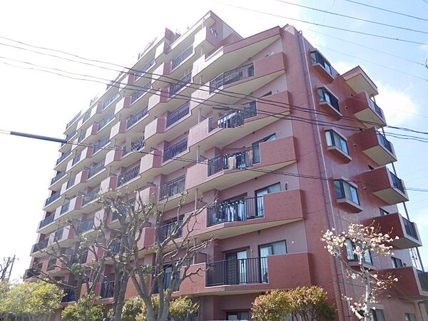 建物全体外観（北東側）