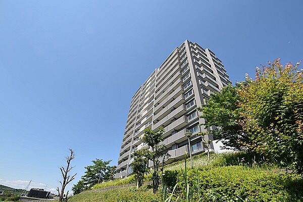 外観：323000489887