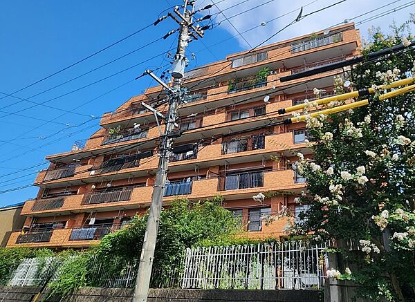 外観：323000541125