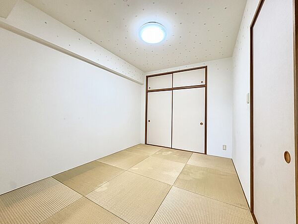 天袋付きの押入のある和室