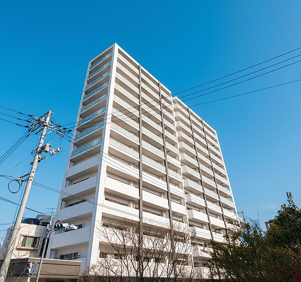 外観：334000241971