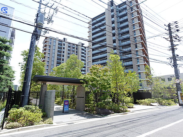 敷地西側からの様子