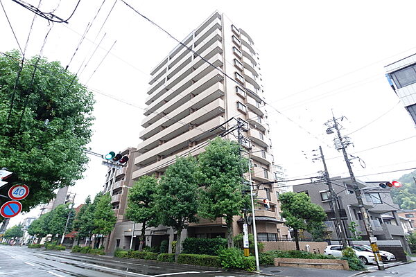 外観：334000273496