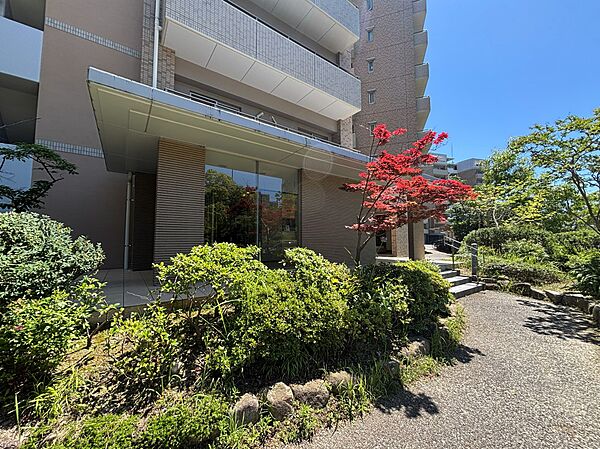 エントランスには植栽が植えられています