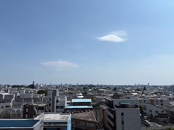 バルコニーからの眺望（眺望は永続的に保証されるものではありません。）
