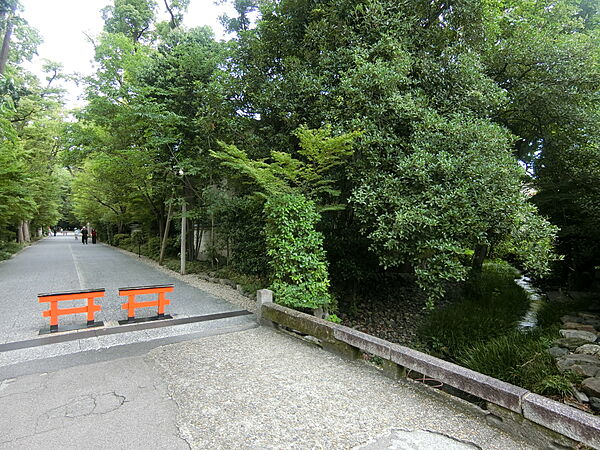 緑あふれる周辺環境（西側前面道路）