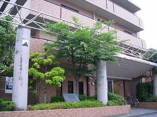 植栽が管理されているマンション