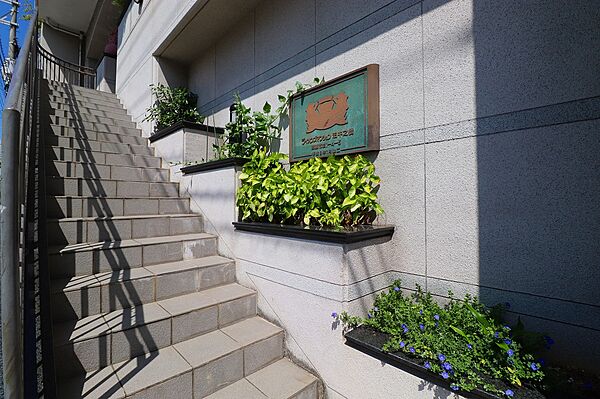 エントランス階段