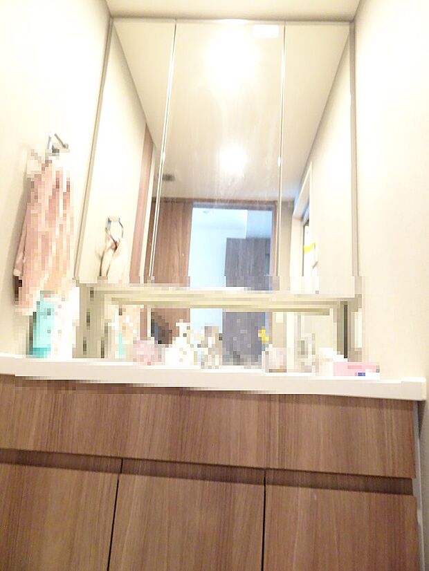 鏡裏収納付き洗面化粧台