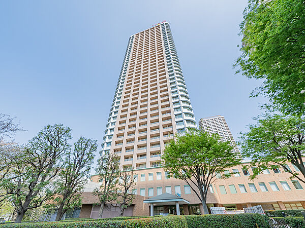 外観：313004877154