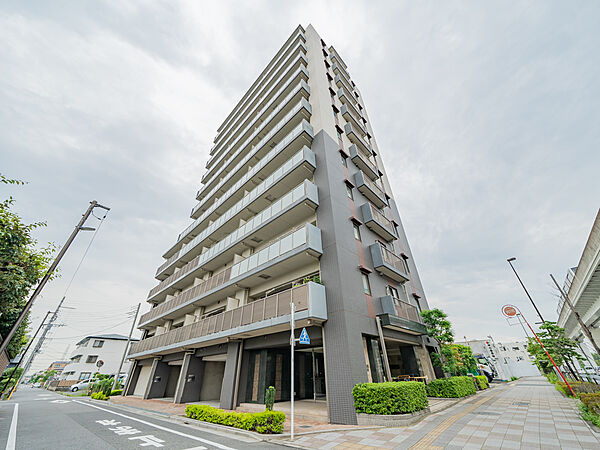 外観：313004810246