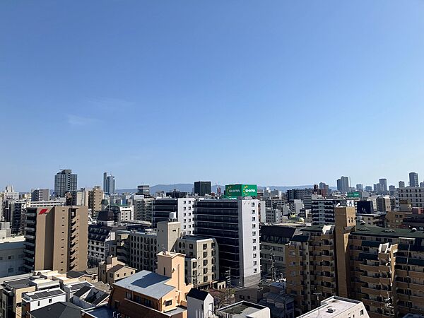 南側バルコニーからの眺望。高層階ならではの開放的な眺望（眺望は永続的に保証されるものではありません）