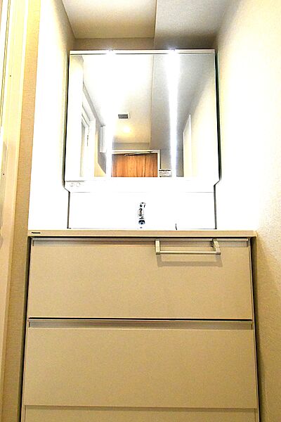 収納三面鏡・ボウル一体型カウンター・シャワー水栓等を備えた洗面化粧台