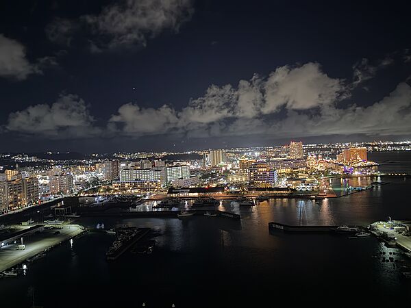 南東側バルコニーからの眺望（夜景）