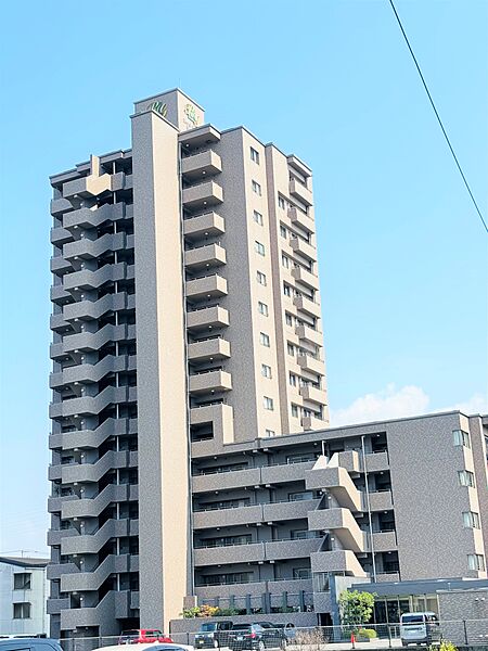 外観：337000024115