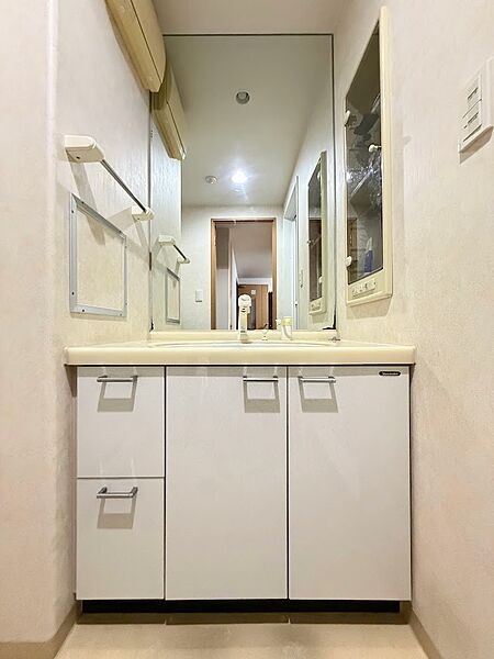 シャンプードレッサー