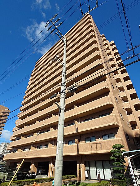 外観：338000048285