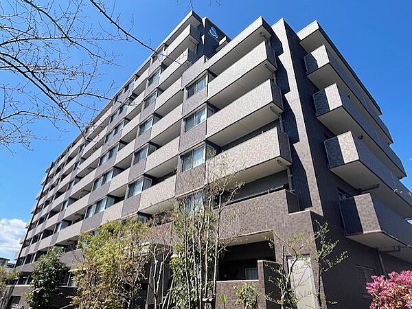 外観：346000041545