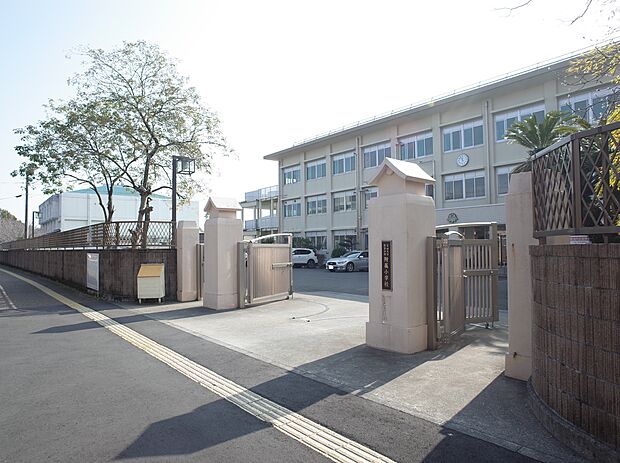 宮崎大学教育学部付属小学校まで320ｍ