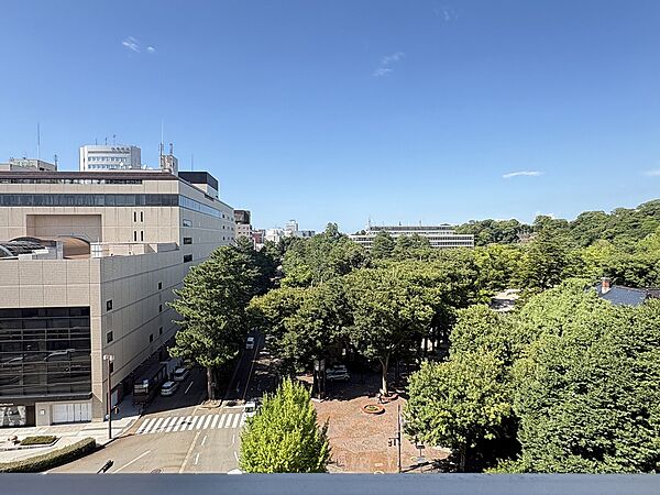 　いしかわ四高記念公園の緑をご覧いただけます。北側バルコニーから北向きの眺望です。