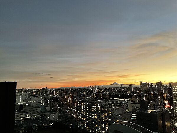 バルコニーからの眺望（眺望は永続的に保証されるものではありません）
