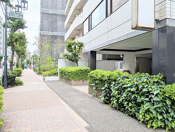 エントランス前は歩車道分離で舗装された歩きやすい歩道です。