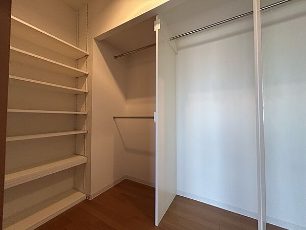 東側洋室のウォークインクロゼット
