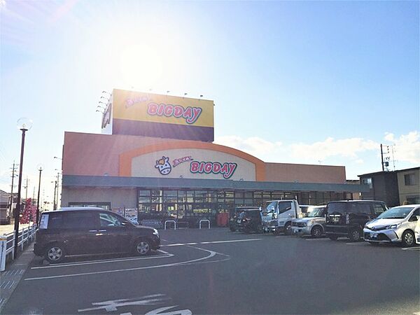 エブリィビッグデー　姫街道店（310m）