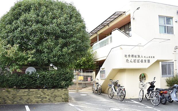 たんぽぽ保育園（600m）
