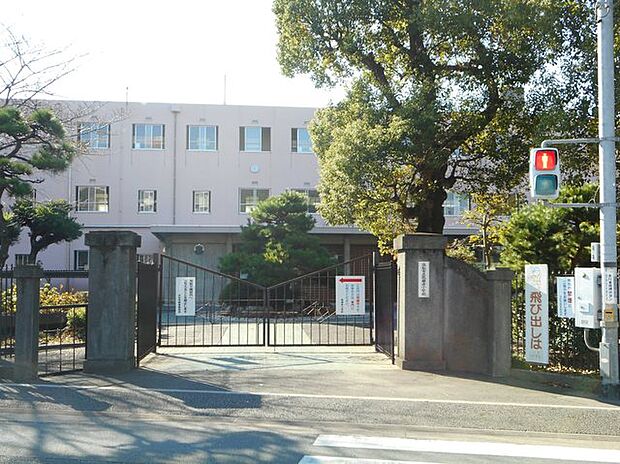 竜禅寺小学校(570m)