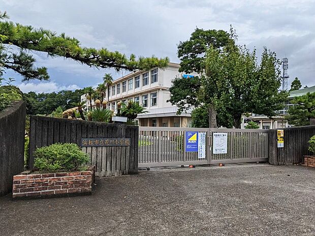 花川小学校(300m)