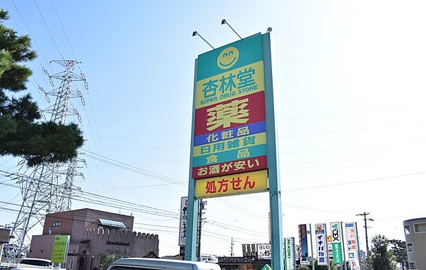 杏林堂　姫街道店（650m）