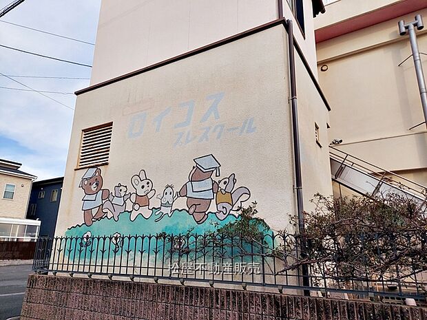 ロイコスプレスクール(520m)