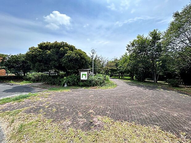 竜南緑地（1320m）