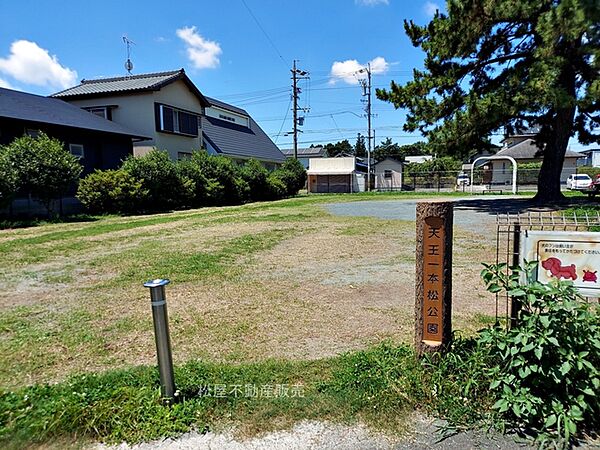 天王一本松公園（360m）