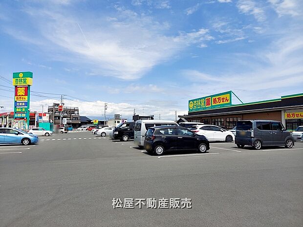 杏林堂 竜洋店(1420m)