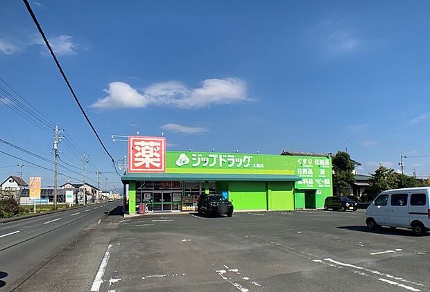 ジップドラッグ 大島店(1310m)