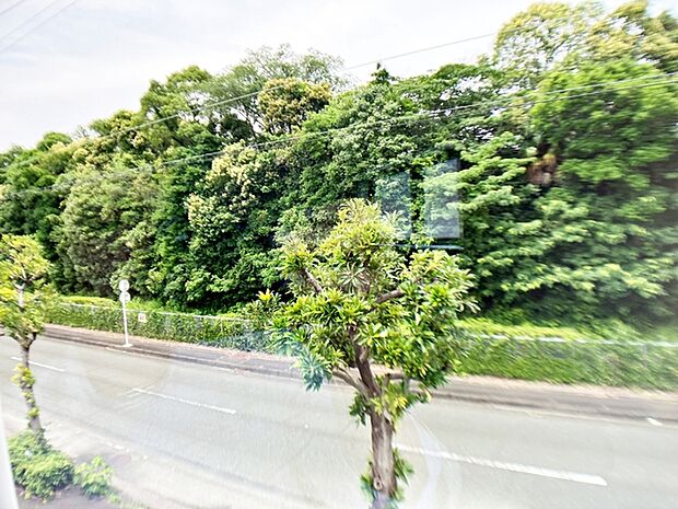 気持ちの良い眺望が広がり、日常の中で外の景色を眺めながら過ごせます。気分転換にもつながる、心地よい時間をお過ごしいただけます。