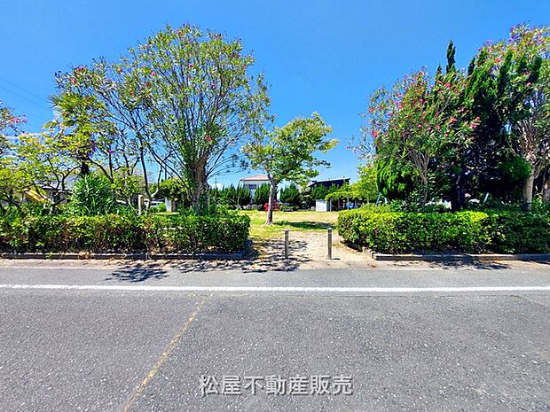 遠州浜公園(1590m)