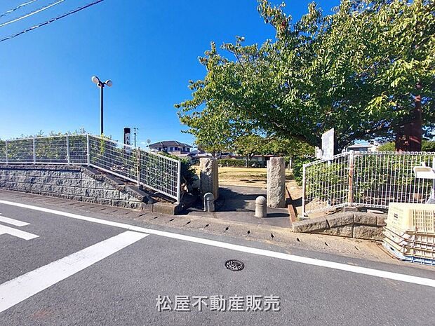 大島公園(300m)