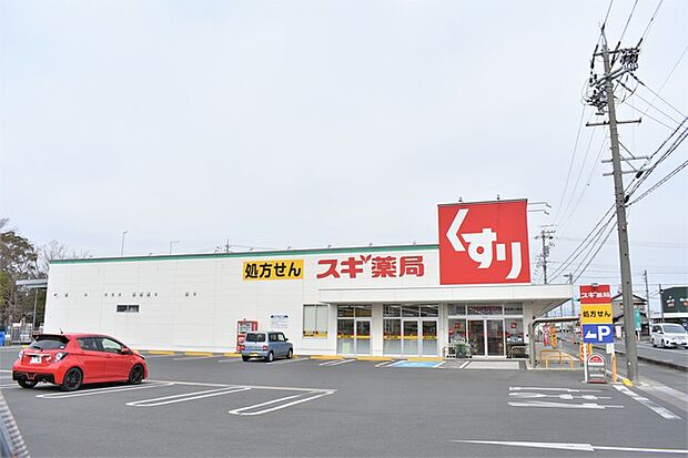 スギ薬局 浜松西ヶ崎店(1230m)