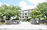 周辺：開成中学校（800m）