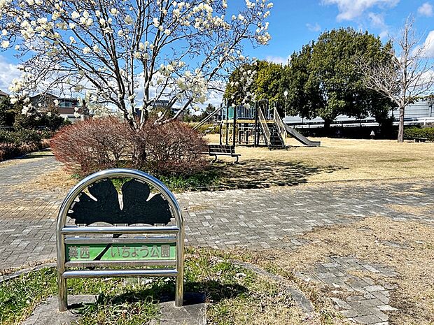 葵西いちょう公園(530m)